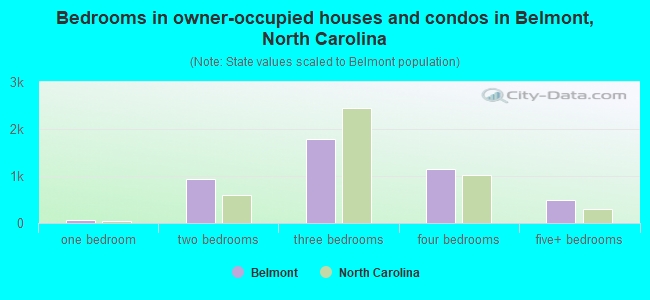 Bedrooms in owner-occupied houses and condos in Belmont, North Carolina
