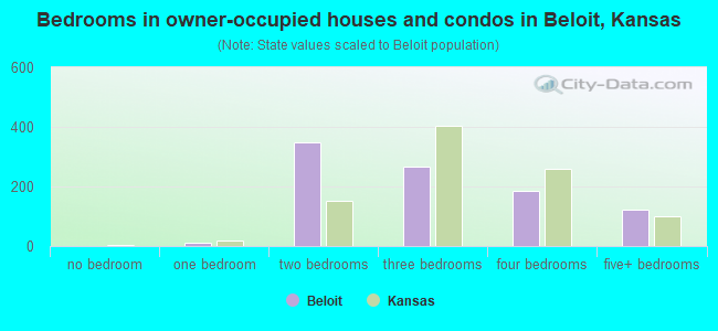 Bedrooms in owner-occupied houses and condos in Beloit, Kansas