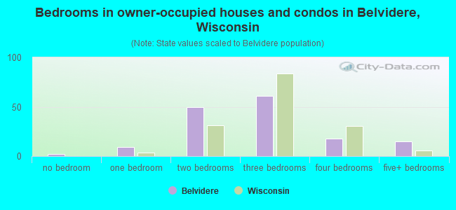 Bedrooms in owner-occupied houses and condos in Belvidere, Wisconsin