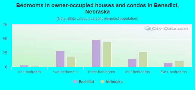 Bedrooms in owner-occupied houses and condos in Benedict, Nebraska