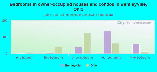 Bedrooms in owner-occupied houses and condos in Bentleyville, Ohio