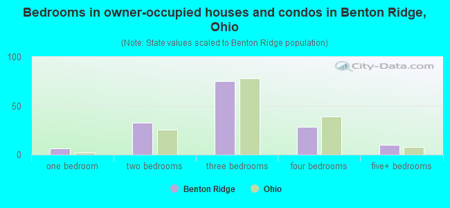 Bedrooms in owner-occupied houses and condos in Benton Ridge, Ohio