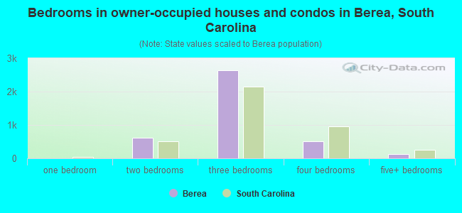 Bedrooms in owner-occupied houses and condos in Berea, South Carolina