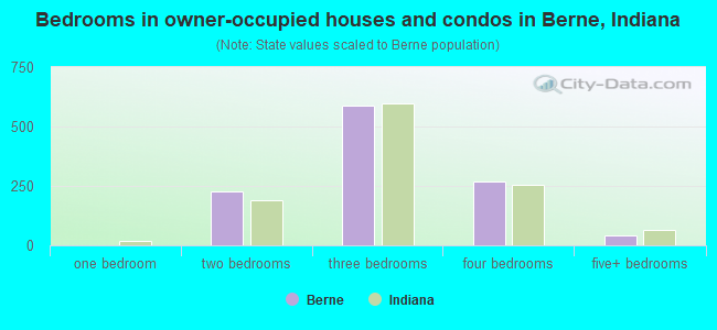 Bedrooms in owner-occupied houses and condos in Berne, Indiana
