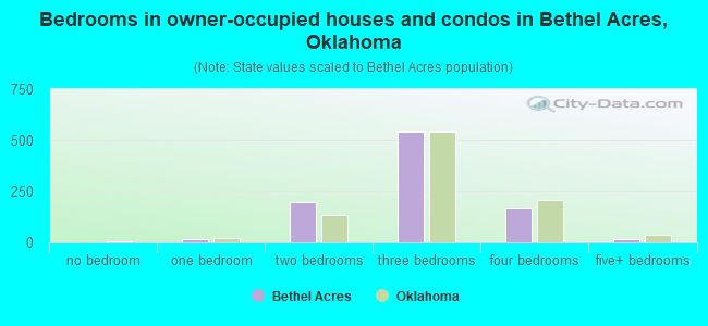 Bedrooms in owner-occupied houses and condos in Bethel Acres, Oklahoma