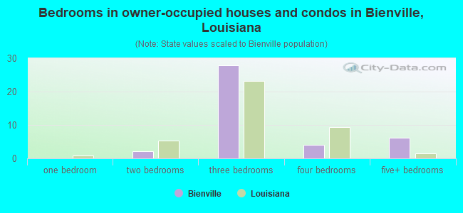 Bedrooms in owner-occupied houses and condos in Bienville, Louisiana