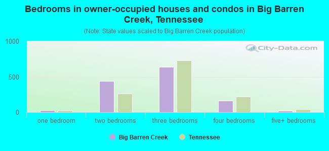 Bedrooms in owner-occupied houses and condos in Big Barren Creek, Tennessee