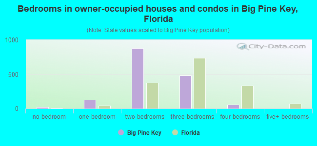Bedrooms in owner-occupied houses and condos in Big Pine Key, Florida