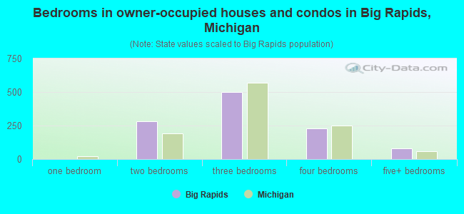 Bedrooms in owner-occupied houses and condos in Big Rapids, Michigan