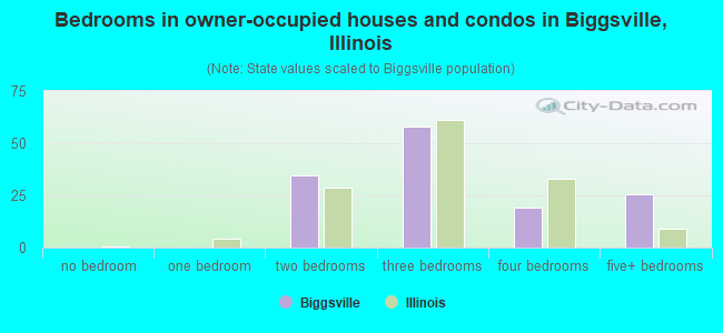 Bedrooms in owner-occupied houses and condos in Biggsville, Illinois