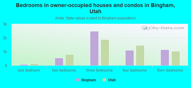 Bedrooms in owner-occupied houses and condos in Bingham, Utah