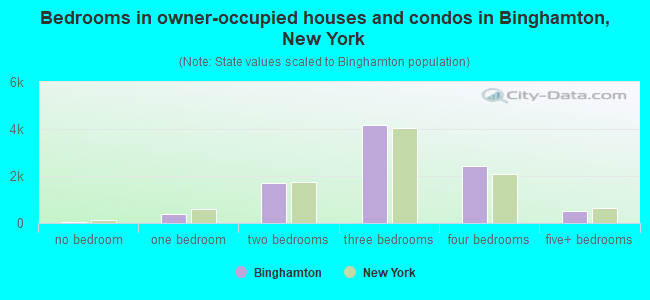 Bedrooms in owner-occupied houses and condos in Binghamton, New York