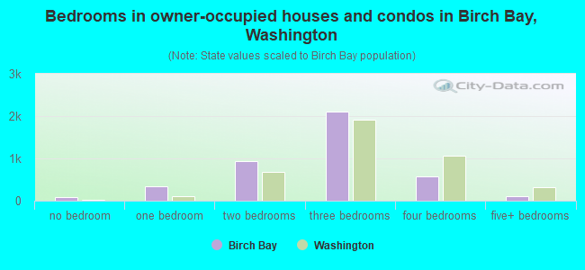 Bedrooms in owner-occupied houses and condos in Birch Bay, Washington
