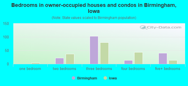 Bedrooms in owner-occupied houses and condos in Birmingham, Iowa