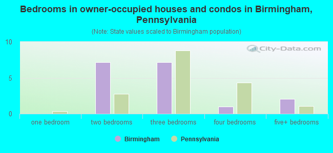 Bedrooms in owner-occupied houses and condos in Birmingham, Pennsylvania