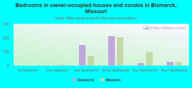Bedrooms in owner-occupied houses and condos in Bismarck, Missouri