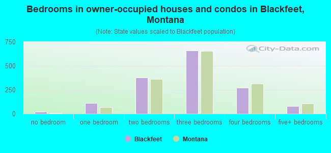 Bedrooms in owner-occupied houses and condos in Blackfeet, Montana