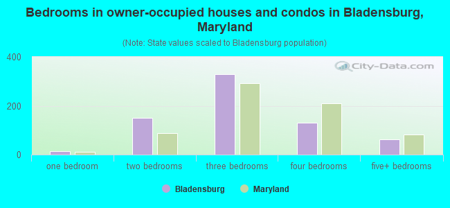 Bedrooms in owner-occupied houses and condos in Bladensburg, Maryland