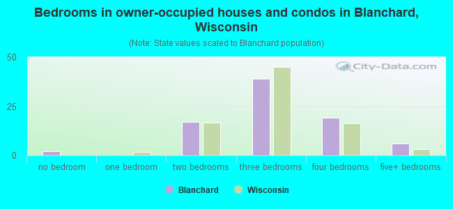 Bedrooms in owner-occupied houses and condos in Blanchard, Wisconsin