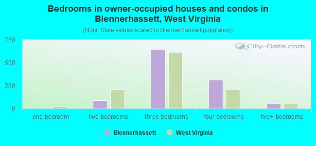 Bedrooms in owner-occupied houses and condos in Blennerhassett, West Virginia