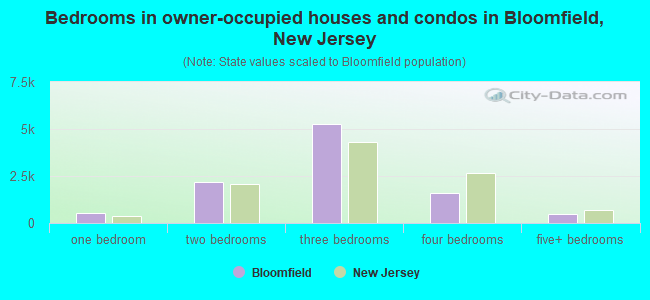 Bedrooms in owner-occupied houses and condos in Bloomfield, New Jersey