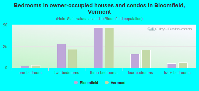 Bedrooms in owner-occupied houses and condos in Bloomfield, Vermont