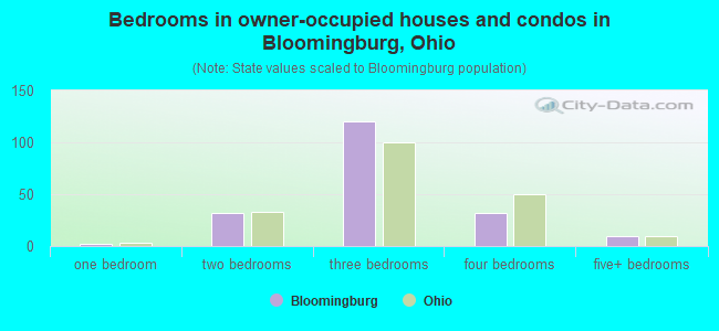 Bedrooms in owner-occupied houses and condos in Bloomingburg, Ohio