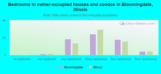 Bedrooms in owner-occupied houses and condos in Bloomingdale, Illinois