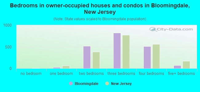 Bedrooms in owner-occupied houses and condos in Bloomingdale, New Jersey