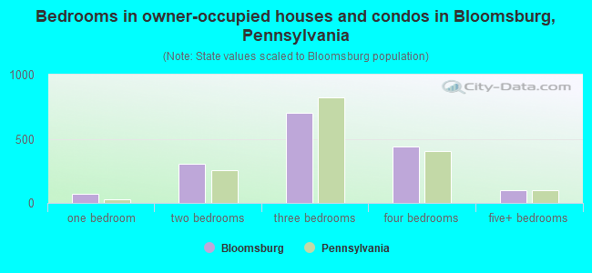 Bedrooms in owner-occupied houses and condos in Bloomsburg, Pennsylvania