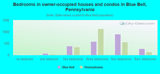 Bedrooms in owner-occupied houses and condos in Blue Bell, Pennsylvania