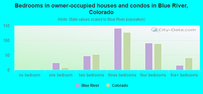 Bedrooms in owner-occupied houses and condos in Blue River, Colorado