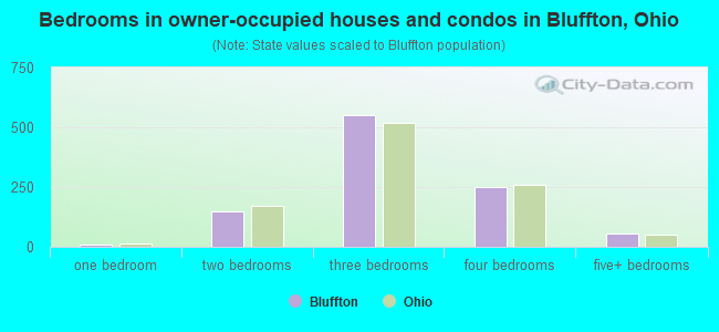 Bedrooms in owner-occupied houses and condos in Bluffton, Ohio