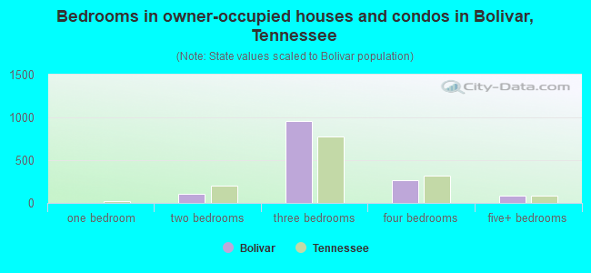 Bedrooms in owner-occupied houses and condos in Bolivar, Tennessee