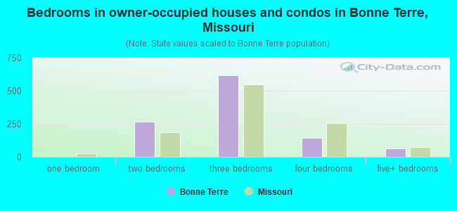 Bedrooms in owner-occupied houses and condos in Bonne Terre, Missouri