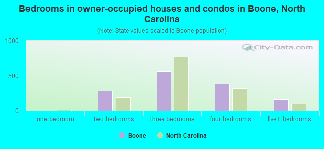 Bedrooms in owner-occupied houses and condos in Boone, North Carolina
