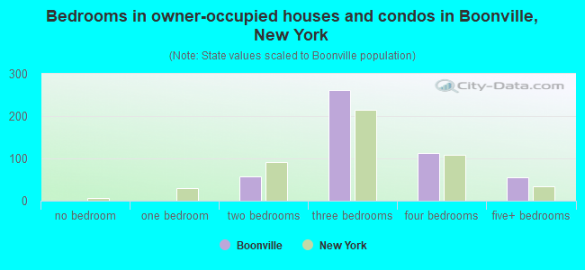 Bedrooms in owner-occupied houses and condos in Boonville, New York