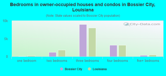 Bedrooms in owner-occupied houses and condos in Bossier City, Louisiana