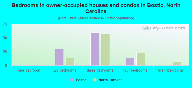 Bedrooms in owner-occupied houses and condos in Bostic, North Carolina