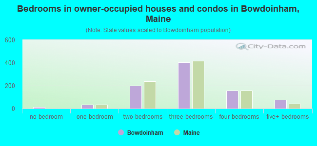 Bedrooms in owner-occupied houses and condos in Bowdoinham, Maine