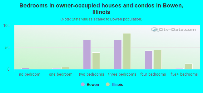 Bedrooms in owner-occupied houses and condos in Bowen, Illinois