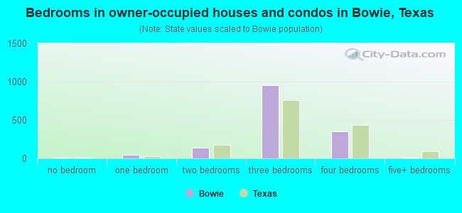Bedrooms in owner-occupied houses and condos in Bowie, Texas