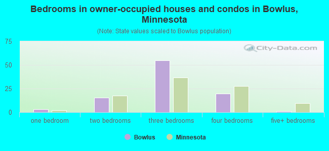 Bedrooms in owner-occupied houses and condos in Bowlus, Minnesota