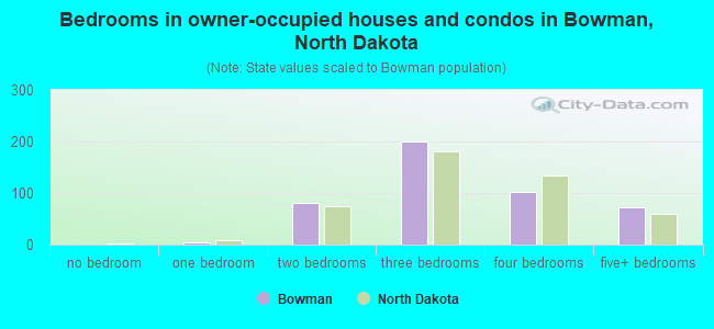 Bedrooms in owner-occupied houses and condos in Bowman, North Dakota