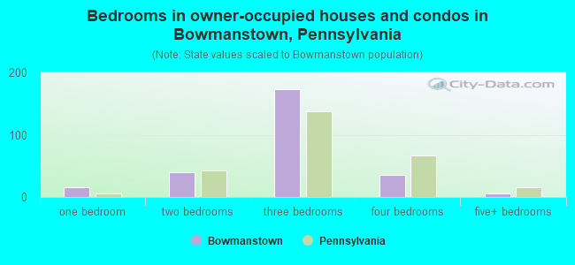 Bedrooms in owner-occupied houses and condos in Bowmanstown, Pennsylvania