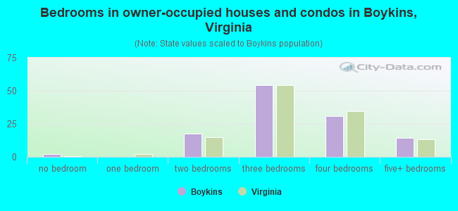 Bedrooms in owner-occupied houses and condos in Boykins, Virginia