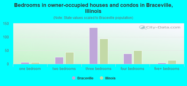 Bedrooms in owner-occupied houses and condos in Braceville, Illinois