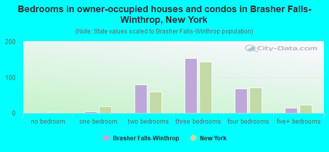 Bedrooms in owner-occupied houses and condos in Brasher Falls-Winthrop, New York