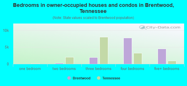 Bedrooms in owner-occupied houses and condos in Brentwood, Tennessee