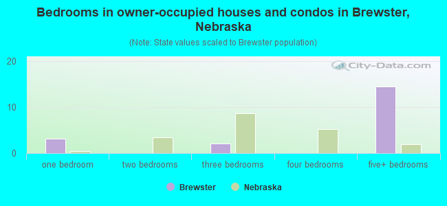Bedrooms in owner-occupied houses and condos in Brewster, Nebraska